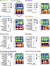 Transcriptional programming of fibrosis-associated genes are enriched in th