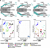 Biological pathways associated with remodeling transcriptional profiles are