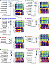 Remodeling-associated transcriptional profile genes are enriched in Col1a1+