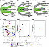 Col1a1+ fibroblast subset highly express resolution associated transcriptio
