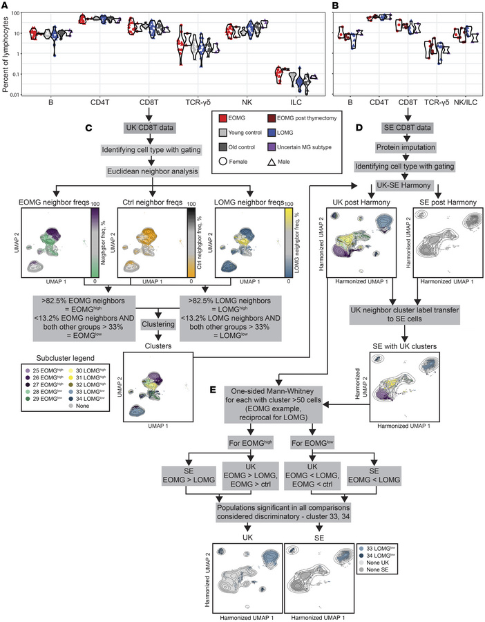 Overarching cell-type frequencies and overview of supervised clustering ...