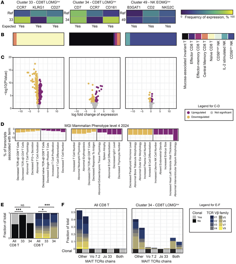 Characterization of significant cell populations.
(A) Heatmaps indicatin...