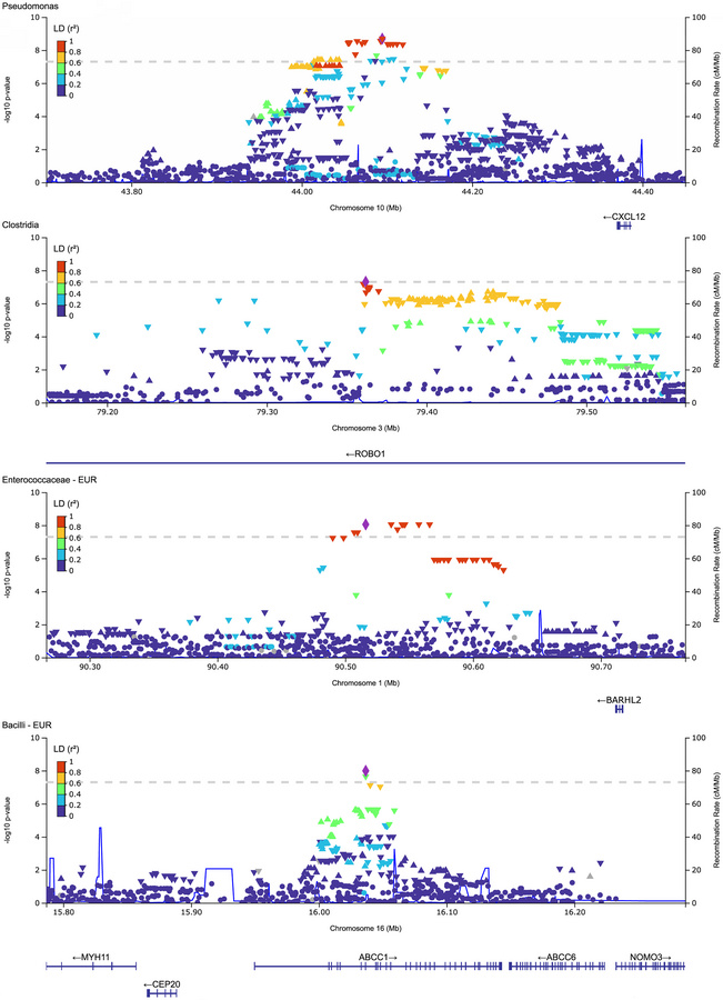 LocusZoom plots of top loci associated with urinary bacterial traits.
Ea...