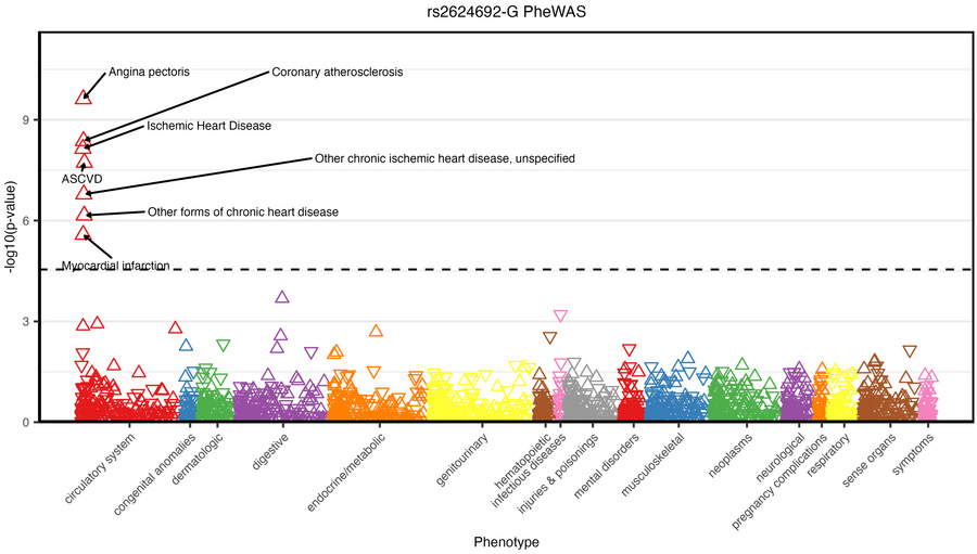 PheWAS for the lead Pseudomonas GWAS SNP.
Manhattan plot of phenome-wide...
