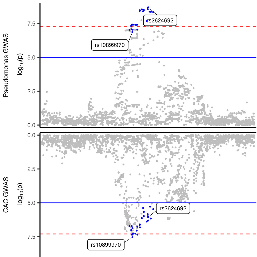 Colocalization of Pseudomonas relative abundance and coronary arterial c...