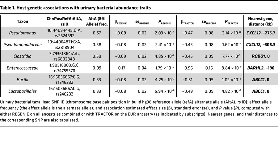 Host genetic associations with urinary bacterial abundance traits