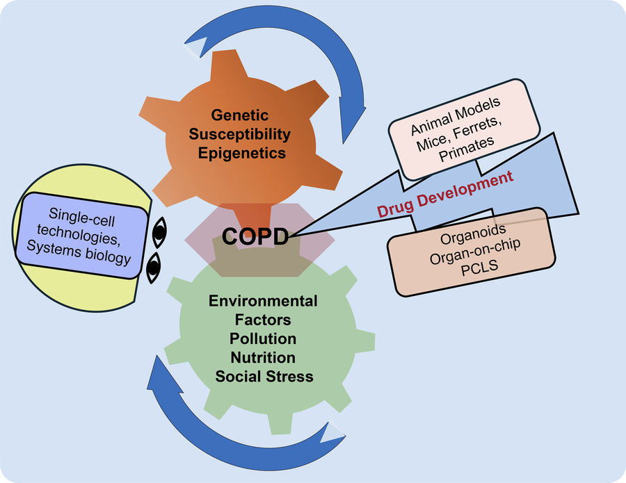 COPD-iNET symposium focused on five key areas critical to understanding ...