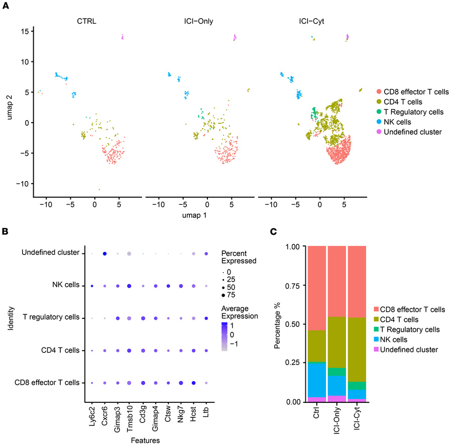 Single-cell transcriptomic profiling of kidney tissue across immune chec...