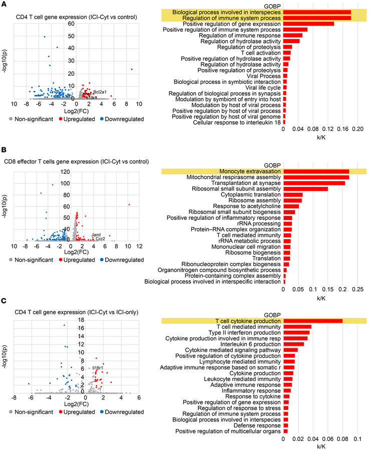 Biological analysis of gene expression for upregulated genes.
(A and B) ...