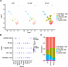Single-cell transcriptomic profiling of kidney tissue across immune checkpo