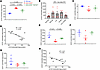 Mouse renal cortex ceramide concentrations.