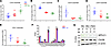 Ceramide concentrations in proximal tubule cells.