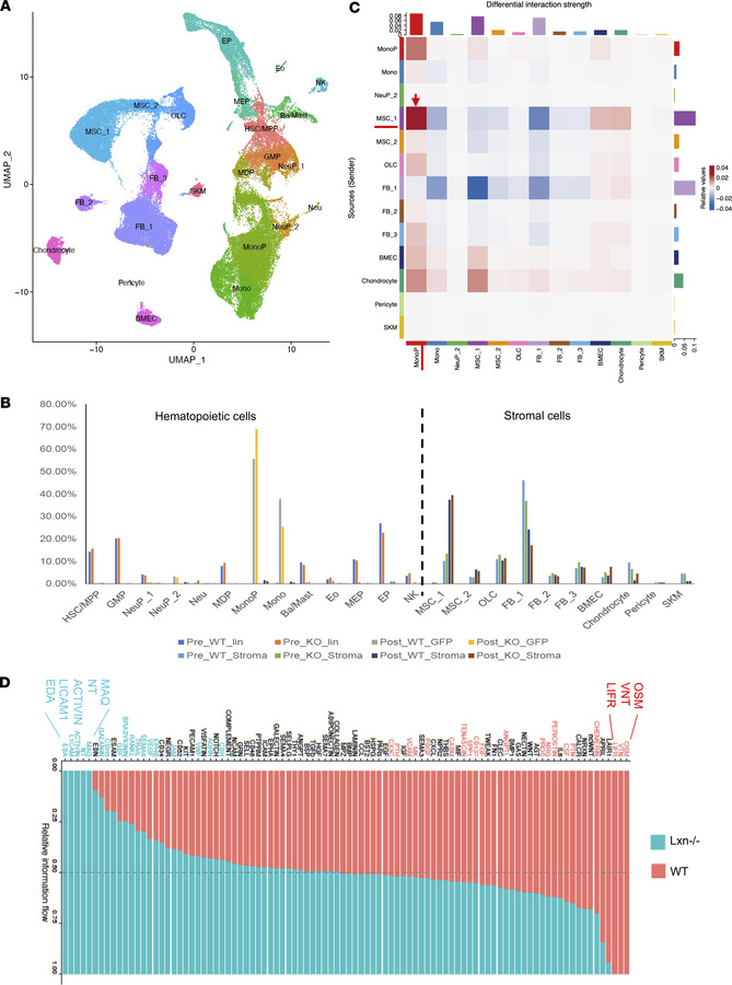 scRNA-seq on stromal and hematopoietic (or leukemic) cells from WT and L...