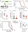 Lxn deletion in niche attenuates MLL-AF9–induced (MA9-induced) leukemia dev