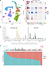 scRNA-seq on stromal and hematopoietic (or leukemic) cells from WT and Lxn–