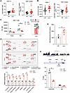 Lxn–/– niche increases Cxcl9-mediated T cell accumulation.