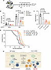 Lxn deletion in the niche enhances anti–PD-1 treatment efficacy of AML.