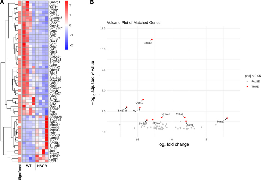 Extracellular matrix–related differential gene expression in proximal ga...