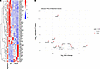 Extracellular matrix–related differential gene expression in proximal gangl