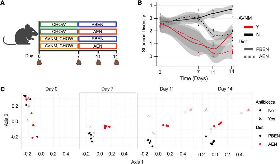 PBEN is superior to AEN in restoring microbial diversity following ABX e...
