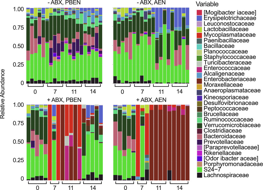 Diet shapes taxonomic composition following antibiotic exposure.
Relativ...