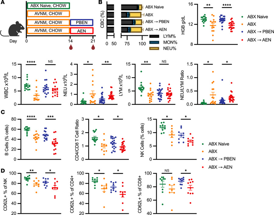 PBEN is superior to AEN in rescuing ABX-induced anemia and leukopenia.
(...