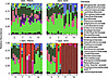 Diet shapes taxonomic composition following antibiotic exposure.