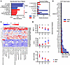 PBEN promotes microbiome recovery and improved blood profiles in critically
