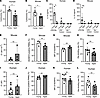 Hla activity and ADAM10 expression in aged hosts.