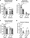 Reduced ADAM10 activity and contribution to diminished Hla activity in aged