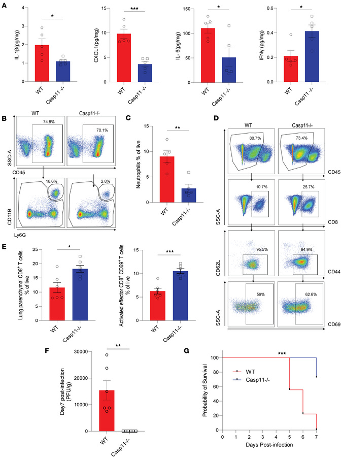 CASP11 deficiency limits early inflammation and neutrophil infiltration,...