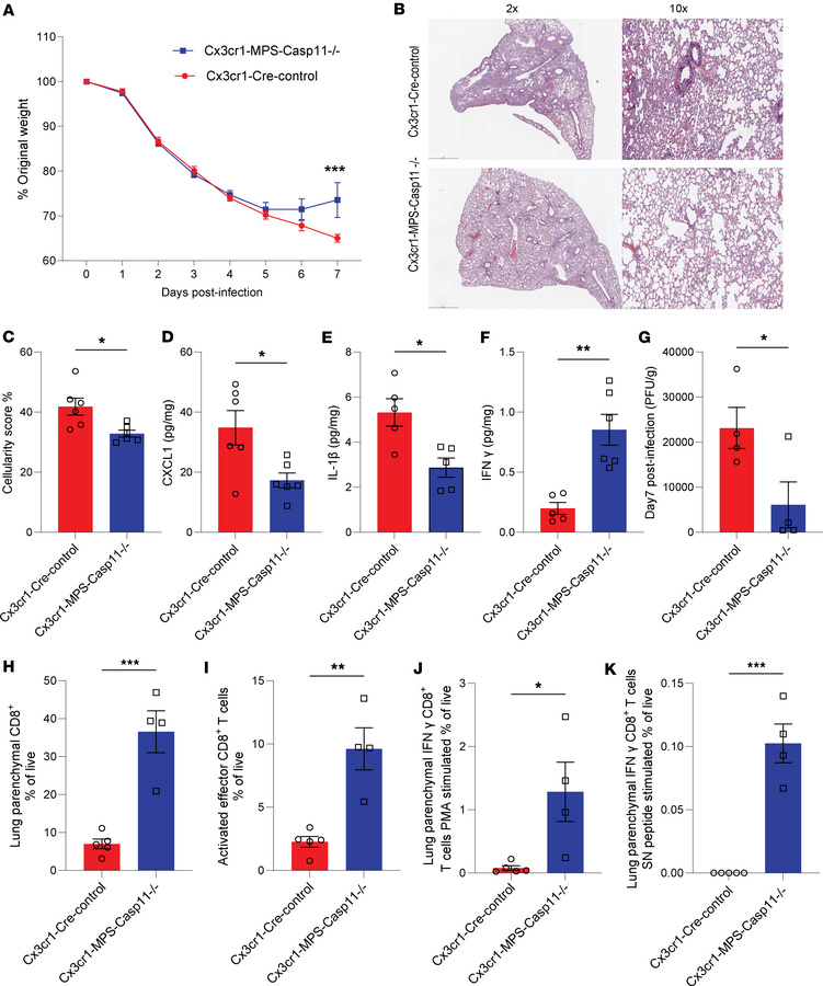 Cx3cr1-expressing MPS cell-specific CASP11 deletion enhances antiviral C...