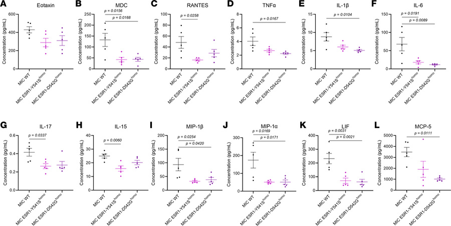 ESR1mut decreases inflammatory cytokine secretion in MIC endpoint tumors...