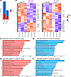 Bulk RNA-seq analyses on MIC WT, MIC ESR1-Y541Shomo, and MIC ESR1-D542Ghomo