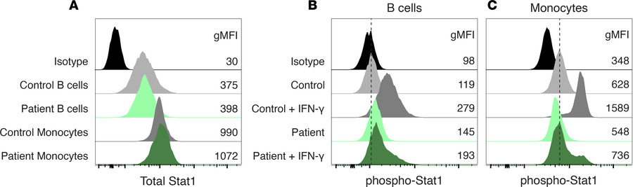 Validation of a rare variant in IFNGR1 in a Th2-skewed patient with DCM....