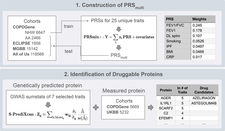 Overview of study design.
Schematic representation of the study workflow...