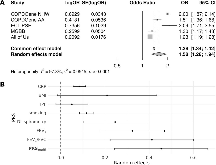 PRSmulti is associated with COPD.
(A) Forest plot from a meta-analysis o...