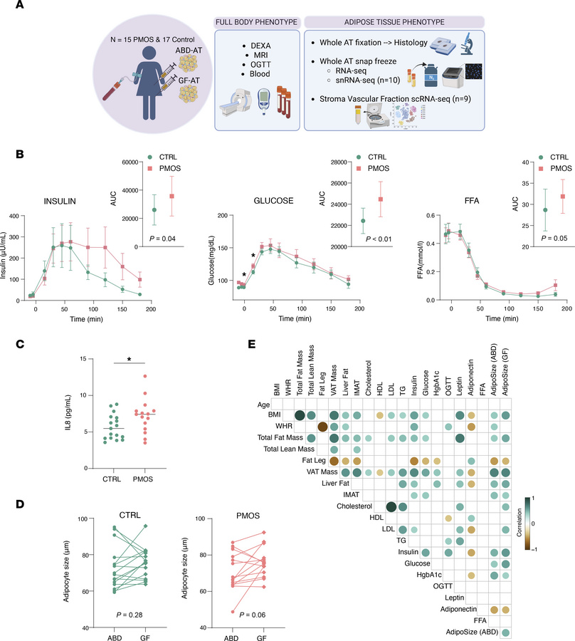 General design of the translational study and clinical characteristics o...