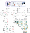 General design of the translational study and clinical characteristics of t