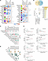 Association between testosterone level and SAT gene expression and cell pop