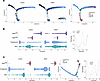 Pseudotime analysis suggests block of differentiation in PMOS.