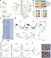 A single-cell ATLAS of ABD and GF-stroma vascular fraction in women with PM