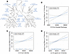 Associations of CC16 with airway-to-lung ratio measured on 15-month thoraci