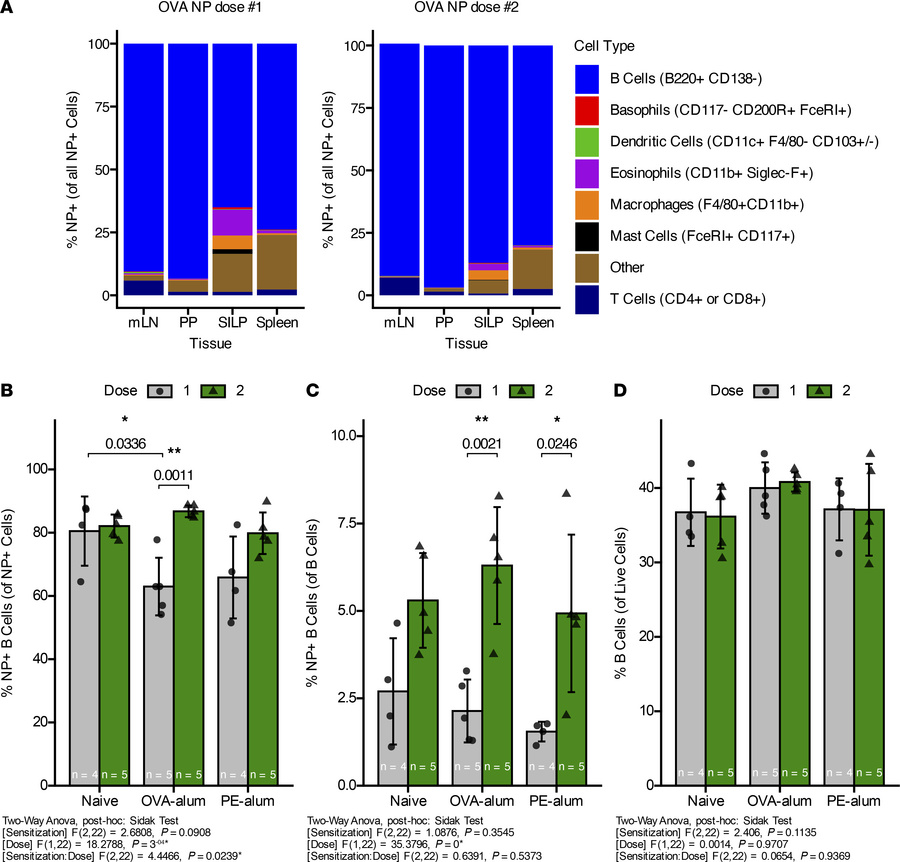 The majority of aeNP+ cells are B cells.
On days 0 and 7, BALB/cJ mice w...