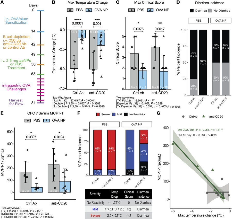 B cell depletion effects on aeNP clinical outcomes.
(A) B cells were dep...