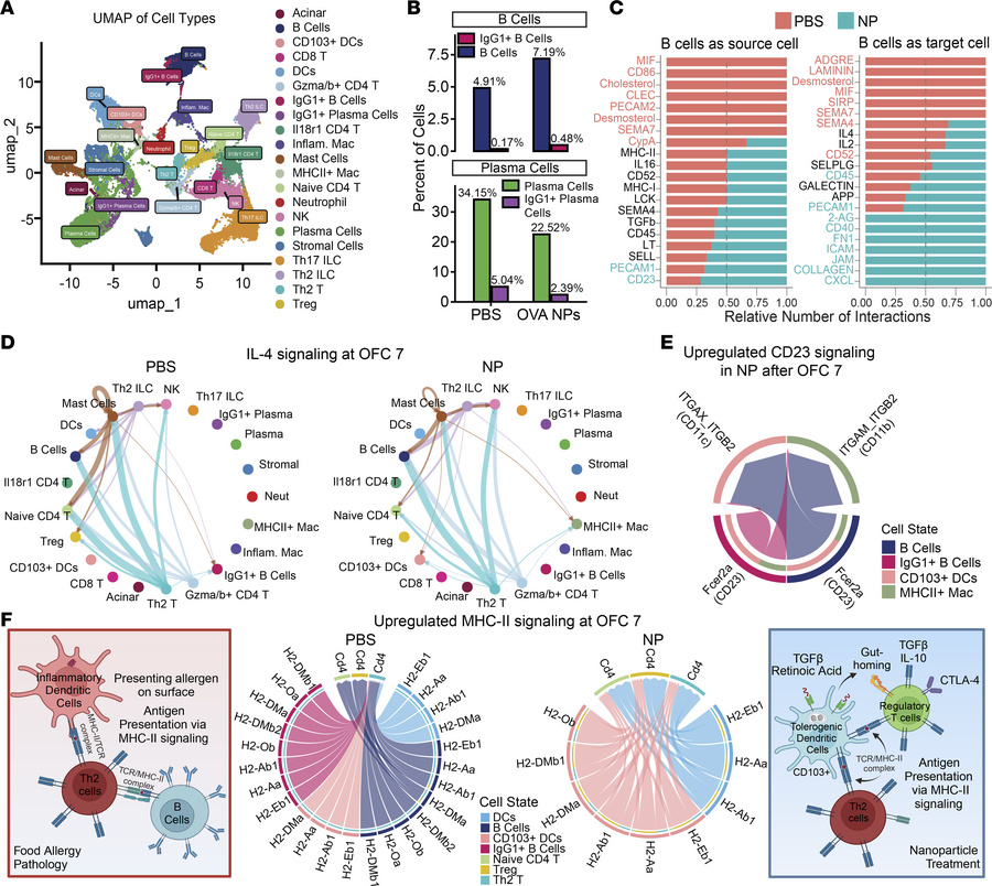 Single-cell RNA-Seq of the SILP identifies changes in B cell communicati...