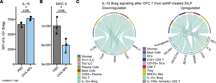 OVA NP treatment induces distinct IL-10+ regulatory B cell phenotype and...