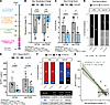 B cell depletion effects on aeNP clinical outcomes.