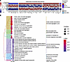 Bulk RNA-Seq of splenic B cells after OVA NP treatment.