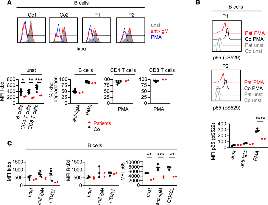 Altered NF-κB signaling in patient lymphocytes.
(A) IκBα degradation in ...